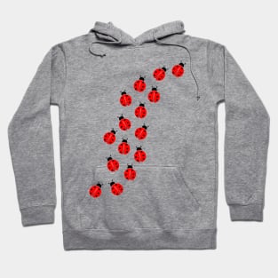 Cute Ladybug Hoodie